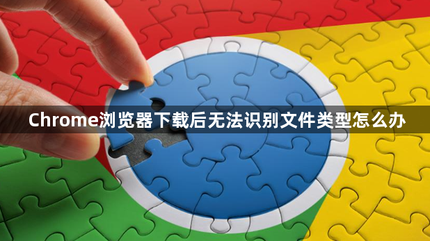 Chrome浏览器下载后无法识别文件类型怎么办1