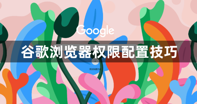 谷歌浏览器权限配置技巧1