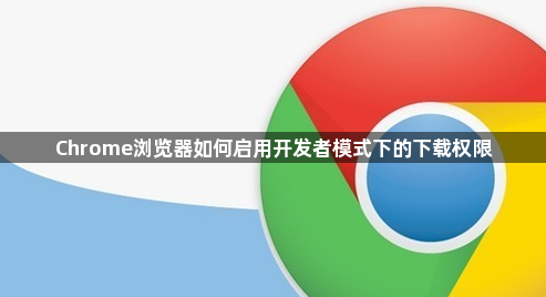 Chrome浏览器如何启用开发者模式下的下载权限1