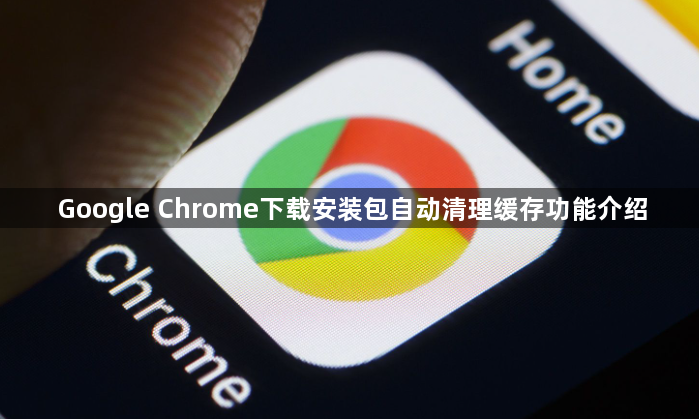 Google Chrome下载安装包自动清理缓存功能介绍1