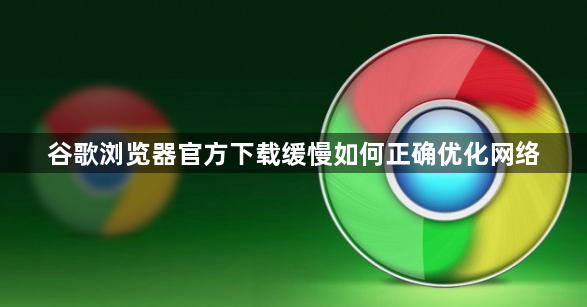 谷歌浏览器官方下载缓慢如何正确优化网络1
