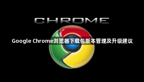 Google Chrome浏览器下载包版本管理及升级建议1