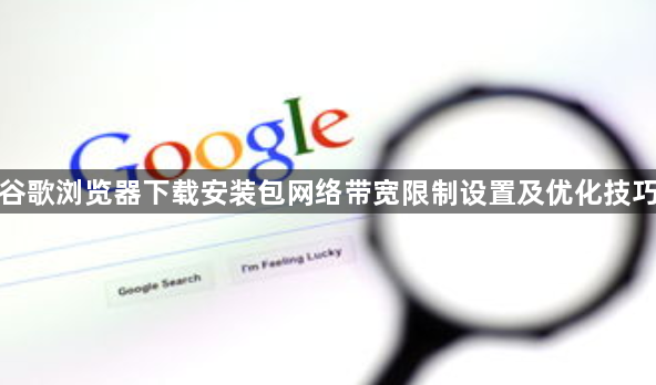 谷歌浏览器下载安装包网络带宽限制设置及优化技巧1