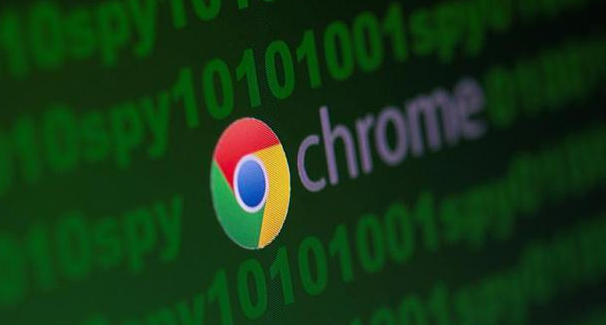 Chrome浏览器企业版启动加速插件操作技巧教程