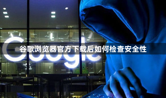 谷歌浏览器官方下载后如何检查安全性1